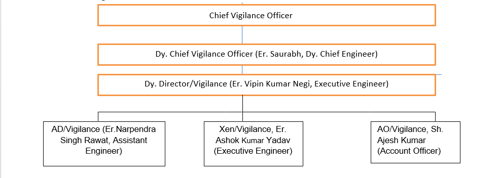 Vigilance Structure